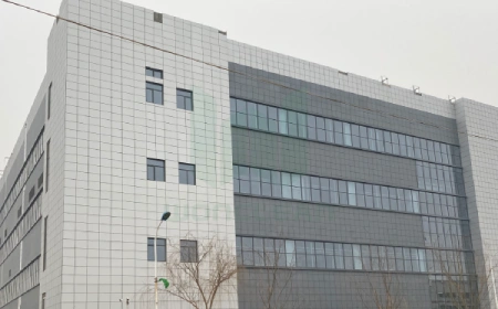 一家大型製藥公司